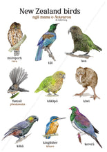 Load image into Gallery viewer, NZ Birds
